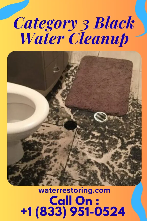 Category 3 Black Water Cleanup in Swanville, MN