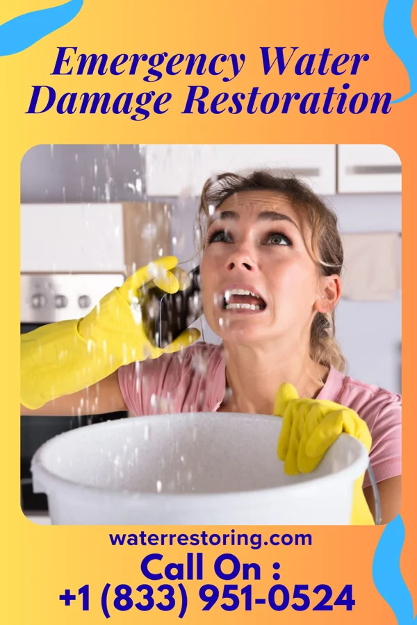 Emergency Water Damage Restoration in Swanville, MN